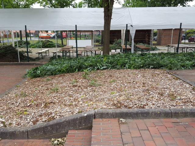 ../fotos/weltrekordversuch_ostrhauderfehn_2019/2019-06-12 09.01.02.jpg